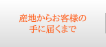 産地からお客様の手に届くまで