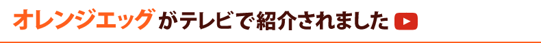 オレンジエッグがテレビで紹介されました